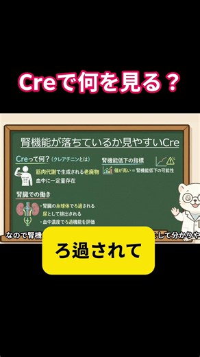 🚨「腎臓が悪い」だけじゃない？新人が見落とすCre（クレアチニン）上昇の3つの原因