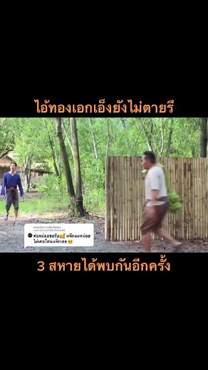 ตอบกลับ @user234247983102449 #ไอ้ทองเอกเอ็งยังไม่ตายรึ #สามสหายได้พบกัน@spd_3222 @meen.kt @ea_749 @earn592p @anuntachotkoyta98 @nattharika.9