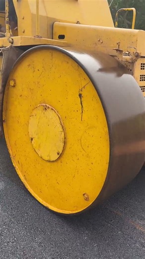 BC Carpeting Compacting by Roller #petshub #trending #construction