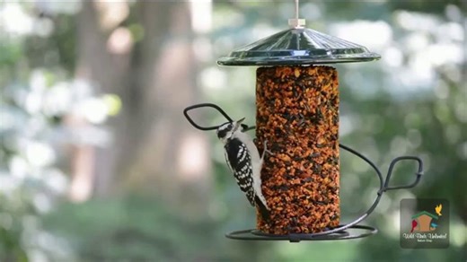 Wild Birds Unlimited TV Spot, 'A Moment With Nature'