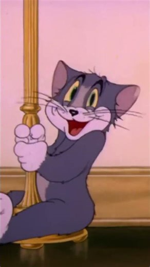 Tom and Jerry Mega Compilation Vol. 10 The Spike Series Theyre on the verge o