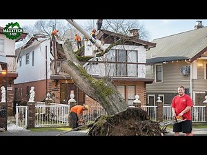 Idiots With Chainsaws: Tree Cutting Fails & Tree Falling on Houses Compilation #30