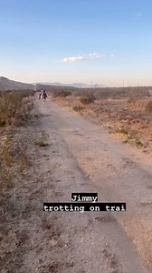 Trotting on trail with Jimmy today,. We were going to canter, but Spencer got a little too spirited in the back. Tomorrow! We will canter tomorrow. #lthjimmy | Love this Horse, Equine Rescue Inc.