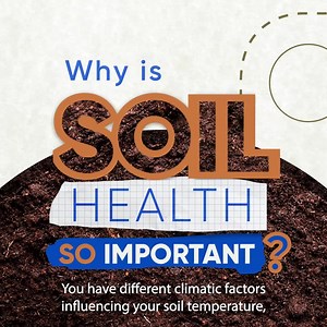 Hear from our soil scientists on why soil health matters for our food supply and future generations. #ProtectSoilHealth | Corteva Agriscience