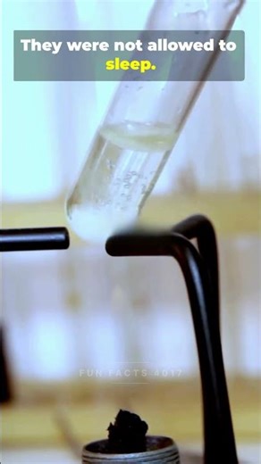 Comment for part 2 #funfacts #dangerousexperiments #amazingfacts