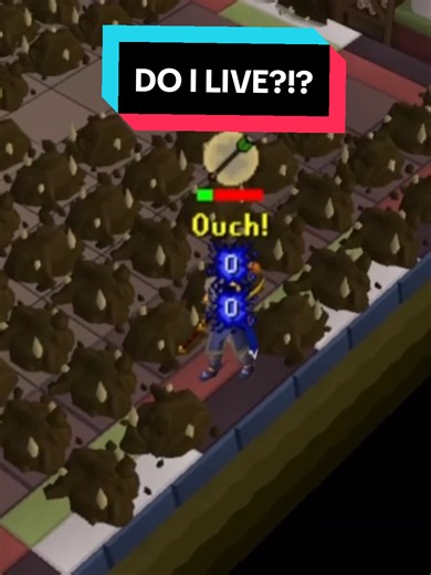 Successful Carry in OSRS Raids: Our First Experience