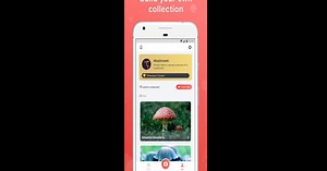 Download and run Picture Mushroom - Mushroom ID on PC & Mac (Emulator)