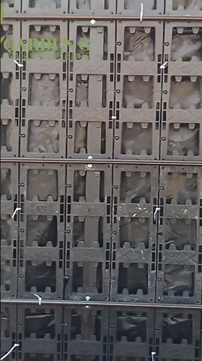 Vertical Garden Installation Step-by-Step | Waterproof Back Panel + Drip Irrigation | Delhi NCR