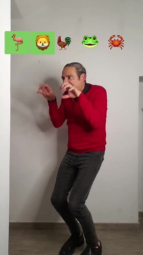 Happy Animal Dance Compilation Animals Dancing