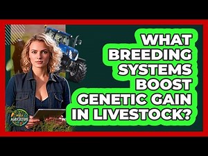 What Breeding Systems Boost Genetic Gain In Livestock? - The World of Agriculture