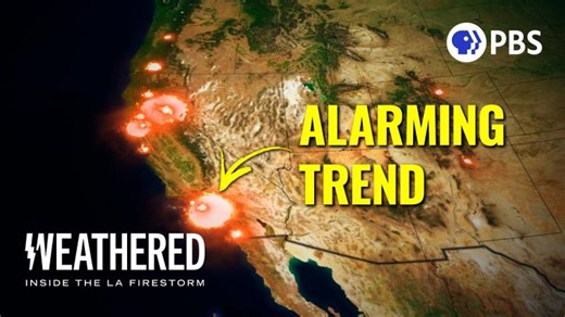 Inside the LA Firestorm - The REAL Story | Full Documentary | steven scala