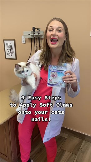 Dr. Lindsay Butzer on TikTok