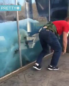 5.4M views · 316K reactions | Playing with the zoo's polar bear  | Tyla | Facebook