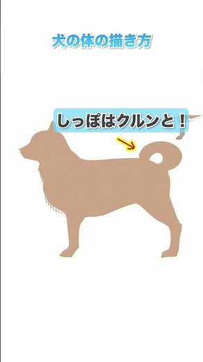 【超簡単！】立ちポーズの犬の描き方🐕【初心者必見のコツ伝授】#shorts