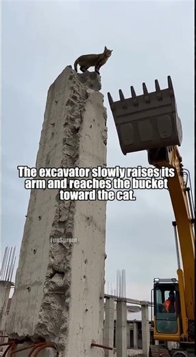 It Actually Understood—That Jump Onto the Bucket Was Unreal