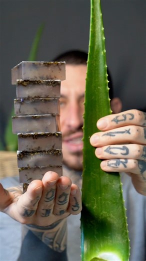 Homemade soap This is a simple yet really effective way of reducing the amount of plastic containers chucked away every week in your house by producing your stock of 100% natural hand soap! ALOE VERA RECIPE: - 5 x Leaves Aloe Vera - 1/2 x Jar Dry Lavender - 1 x Tsp E-oil - Food grade colour (optional) - 1 kg Natural Soap Base NOTES: - When harvesting aloe Vera, let sit in water for 10-15 mins to remove the yellow latex - You could do this same process by using LYE but I don’t like it as you lose