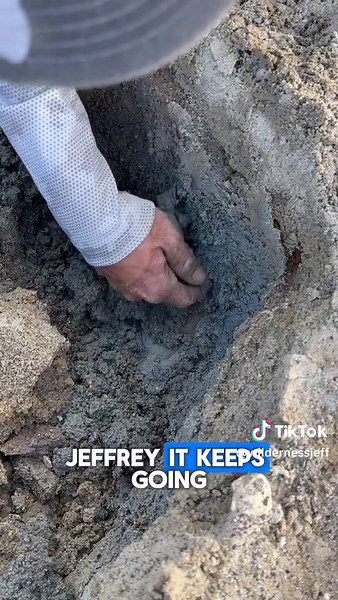 Exploring Florida's Ancient Ocean: Shark Teeth Fossil Hunting Adventure