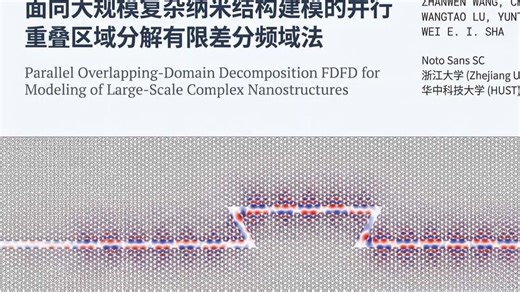 源传递重叠区域分解方法（AI辅助制作）