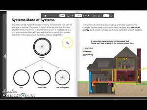 systems - 4th grade