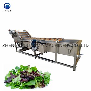 [Hot Item] Fresh Fruit Mango Apple Cleaning Machine Air Bubble Vegetable Washing Machine Bubble Washing Machine