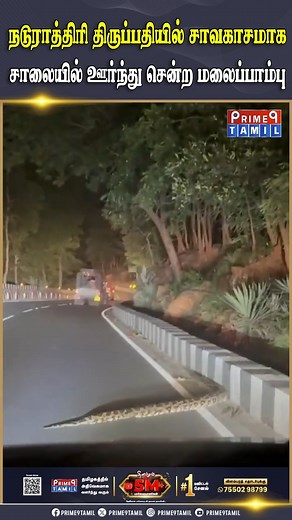 5.8K views · 30 reactions | மலை அரக்கனுக்காக காத்திருந்த வாகன ஓட்டிகள் #prime9tamil #snake #python #roadcrossing #viral #trending | Prime9 Tamil | Facebook