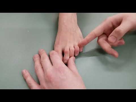 Manual Muscle Test and Lengthening - Plantar Interossei & Dorsal Interossei