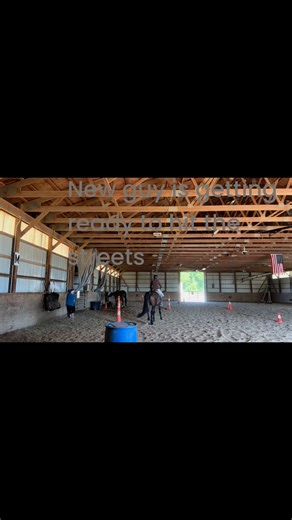 Mounted unit exercises to prepare for patrol #horses #mountedpolice | Nadler Horsemanship LLC | Facebook