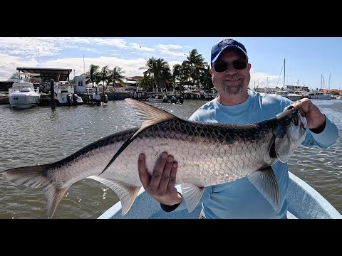 Tommy's Tuesday Tarpon - Progreso Mexico