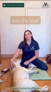 How to Use the Oliver PEMF Mat for Canine Pain Relief | Charlotte, Physio at Joint Dynamics Pedigree