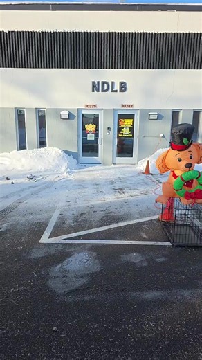 No Dog Left Behind - Minnesota Canine Rescue on Reels