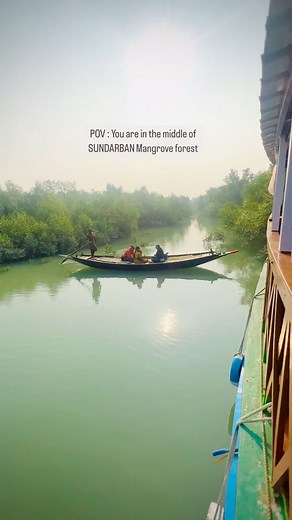 1.5K views · 213 reactions | SUNDARBAN FORESTS  One of the most...