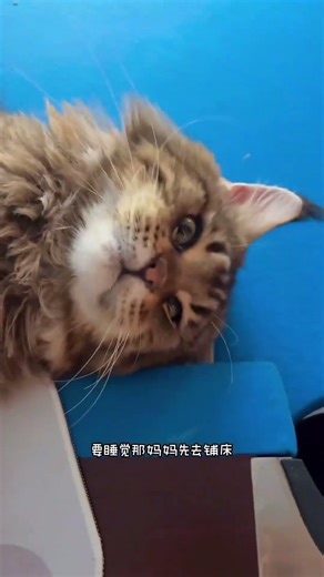 命硬的孩子，注定不凡！