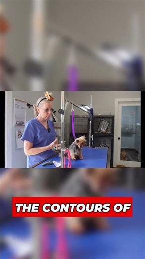 Understanding Dog Grooming Techniques