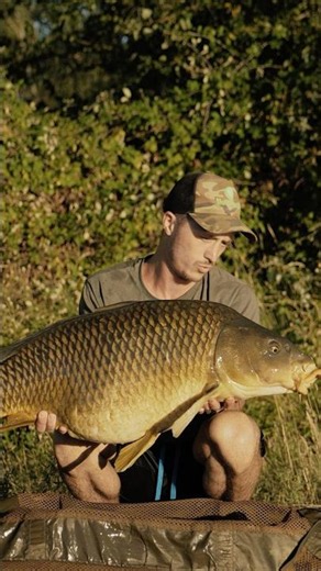 Une nuit à l’arrache sur le Rhône dans 10m d’eau… 🍀 #carpfishing #river #fishing #summer #fish