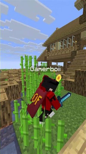 Saddest story in Minecraft 😭