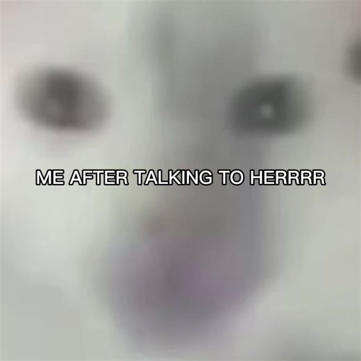 Kamilah Kamilah Kamilah