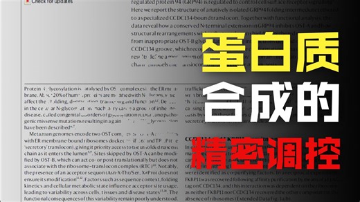 生命的“分子防错码”：一项研究揭示细胞如何防止重要蛋白被“误标记”