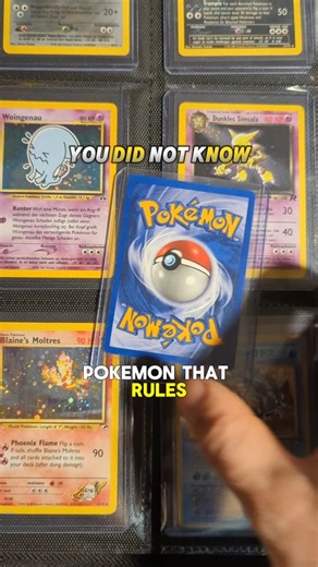 Did you know a Pokémon can rule the rain? 🌧️ It evolves from a spiral-patterned frog when traded… Meet Politoed — the King of Frogs! 🐸👑 Wusstest du, dass ein Pokémon über den Regen herrschen kann? 🌧️ Es entwickelt sich aus einem spiralförmigen Frosch beim Tauschen… Treffe Politoed — den König der Frösche! 🐸👑 #pokemon #pokemoncards #pokemontcg #pokemoncommunity #pokemonfan | AtticCards