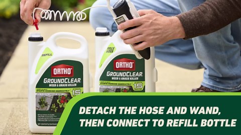 Ortho GroundClear Weed and Grass Killer with Comfort Wand, Kills Dandelions, Chickweed, Crabgrass, Moss and More in Patios and Landscapes, OMRI Listed, 1 gal.