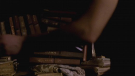 Stefan Salvatore: The Ripper in The Vampire Diaries