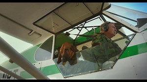 'Superpower Dogs' exclusive IMAX trailer: See heroic canines in action