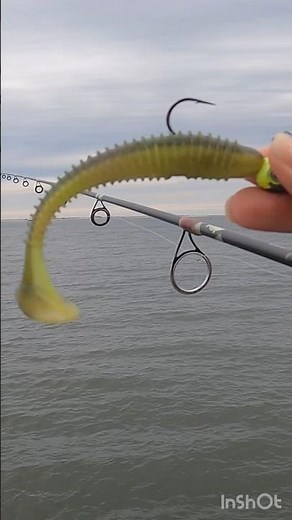 Magic Baits: Fishing the PADDLETAIL Swimbait 4 Striped Bass #stripedbass #fishinglures #fishinglure