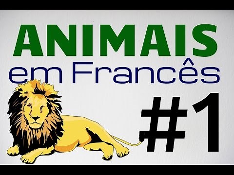 Vocabulário: Animais em francês - parte 1