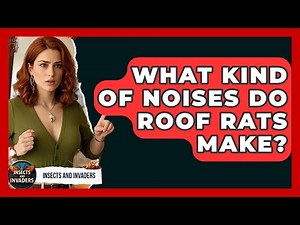 What Kind Of Noises Do Roof Rats Make? - Insects and Invaders