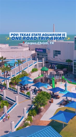 Who’s ready for a road trip to Corpus Christi to visit the Aquarium this Spring Break? 👀🚗 With H-E-B Splash Park open daily, it's the perfect time to visit! 🐬💦 🌸Spring Break Hours: March 7 - March 22 Aquarium: Open Daily from 10:00 a.m. to 5:00 p.m. H-E-B Splash Park: Open daily from 11:00 a.m. to 5:00 p.m.* 🚗 Due to ongoing Harbor Bridge construction, our large lot is temporarily closed. We’ve added additional nearby parking with shuttle service to make getting here easy! Please visit our