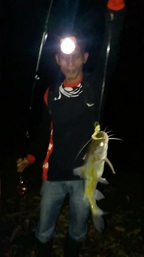 caught a big catfish #fishingvideo