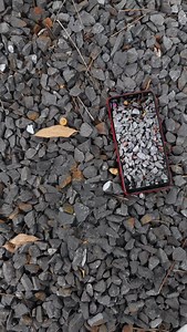 3.6K views · 1.8K reactions | Samsung's ultimate performance as the world's screen manufacturer VS OPPO A5 screen quality #Samsung #Mobile #MobileDigital #DigitalTechnology | Trendy Tech Review | Facebook