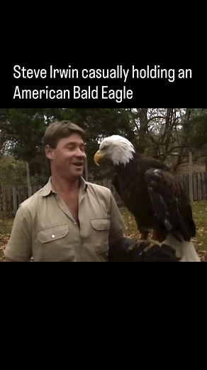 806K views · 27 reactions | Steve Irwin, known around the world as...
