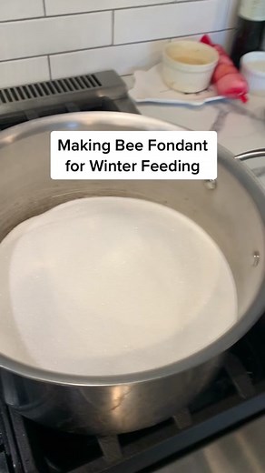 DIY Bee Fondant Recipe for Winter Bees