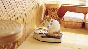 じゃらんでは、温泉旅館からビジネスホテルまで目的に合った宿泊施設を検索、予約できます。じゃらん限定プランや口コミ情報も満載！ | じゃらん